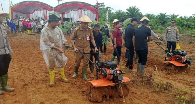 Penanaman Jagung Serentak 1 Juta Hektar Desa Sarigadung Tingkatkan Produksi Pangan Nasional