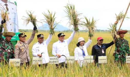Gerakan Tanam Padi Serentak, Bupati Tanbu Komitmen Kuat Dukung Program Swasembada Pangan
