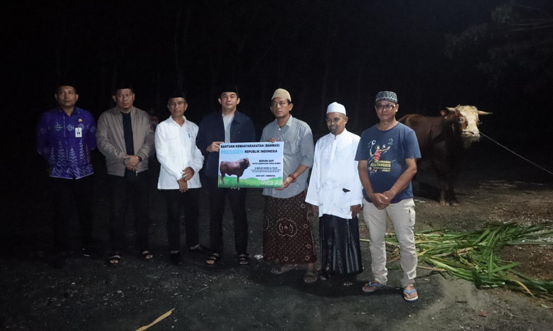 Bupati Andi Rudi Latif Turun Langsung Salurkan Sapi Kurban Bantuan Presiden RI Prabowo Subianto