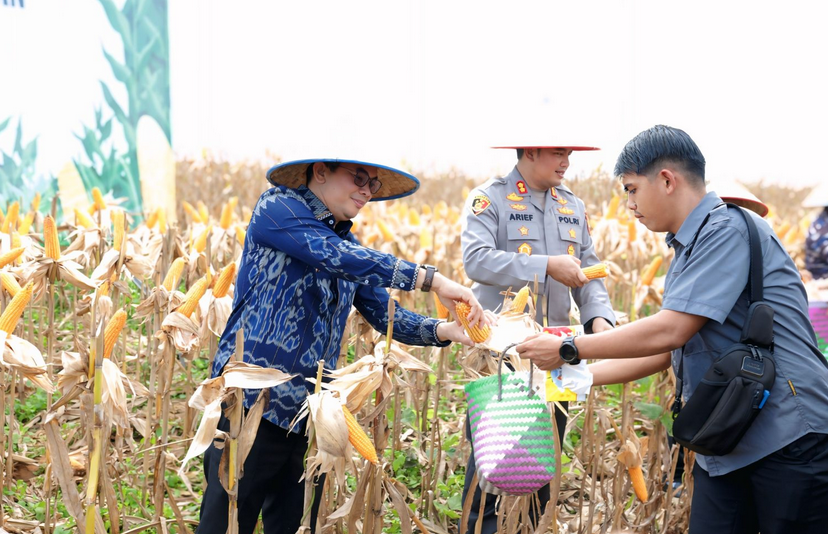 Bupati Andi Rudi Latif Pimpin Panen Raya Jagung Serentak Nasional: Dukung Swasembada Pangan