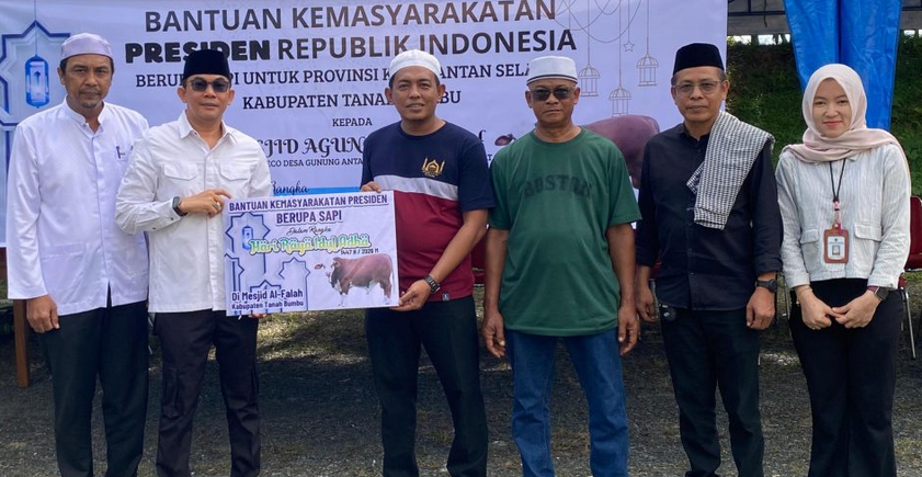 Satu Ekor Sapi Bantuan Presiden RI Diserahkan Bupati Andi Rudi Latif Untuk Masyarakat di Hari Raya Idul Adha 1447H